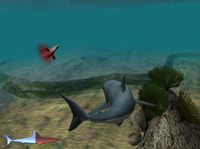 Jaws Unleashed screenshot, image №408225 - RAWG