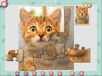 1001 Jigsaw. Cute Cats screenshot, image №3285619 - RAWG