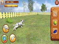 Play with your Dog: Dalmatian screenshot, image №1695180 - RAWG