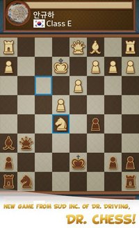 Dr. Chess screenshot, image №1529529 - RAWG