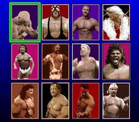 WCW SuperBrawl Wrestling screenshot, image №763244 - RAWG