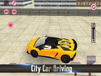 Fast Car Test Skill screenshot, image №1667745 - RAWG