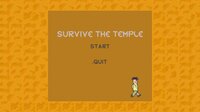 Survive The Temple (jteller26) screenshot, image №3684275 - RAWG