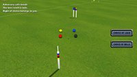 Croquet Pro 2 screenshot, image №1710848 - RAWG