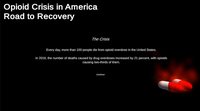 Opioid Crisis in America: Road to Recovery screenshot, image №1244310 - RAWG