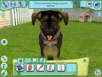 Dogz 6 screenshot, image №468976 - RAWG