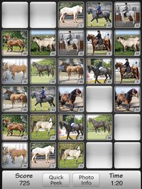 Horses Match Memory Game: Pair Up Horse Photos screenshot, image №982039 - RAWG