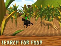 VR Crazy Horse Simulator screenshot, image №975027 - RAWG