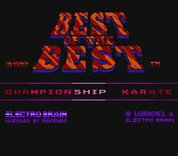 Best of the Best: Championship Karate screenshot, image №734786 - RAWG