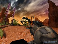 The Y-Project screenshot, image №362727 - RAWG
