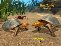 Box Turtle Simulator screenshot, image №2367069 - RAWG