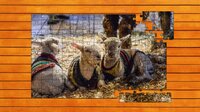 Farmyard Pals Jigsaw Puzzles screenshot, image №4152676 - RAWG