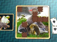 Jigsaw Solitaire Baby Animals screenshot, image №1330762 - RAWG