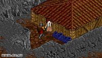 Ultima 8: The Lost Vale screenshot, image №460736 - RAWG