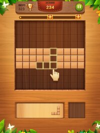 Block Puzzle: Wood Brain Games screenshot, image №2841098 - RAWG