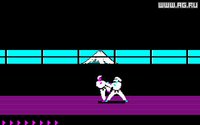 Karateka (1985) screenshot, image №296438 - RAWG