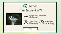 BirdLingo: A birdsong learning game screenshot, image №4080160 - RAWG