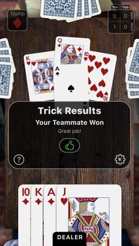 Euchre Night screenshot, image №3064392 - RAWG