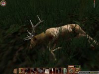 Cabela's Big Game Hunter 6 screenshot, image №312339 - RAWG