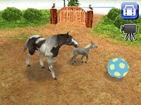 Petz Horseshoe Ranch screenshot, image №247658 - RAWG