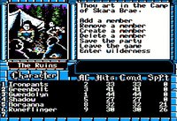 The Bard's Tale III: Thief of Fate screenshot, image №747455 - RAWG