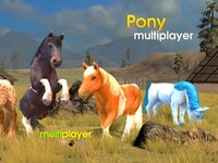 Pony Multiplayer screenshot, image №2473134 - RAWG