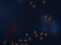 Swim Together screenshot, image №2727604 - RAWG