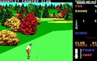 World Class Leader Board Golf screenshot, image №337944 - RAWG