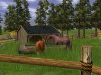 Wildlife Park 2 - Horses screenshot, image №151717 - RAWG