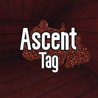 Ascent Tag screenshot, image №3818948 - RAWG