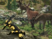 VR Zoo Animals Roller Coaster screenshot, image №3169206 - RAWG