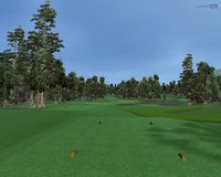 Customplay Golf screenshot, image №417877 - RAWG