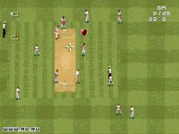 Cricket '96 screenshot, image №304652 - RAWG