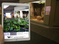 The AR Perpetual Garden Apps screenshot, image №2385475 - RAWG
