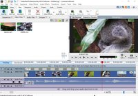 VideoPad Video Editor screenshot, image №114133 - RAWG
