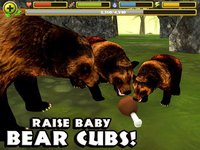 Wildlife Simulator: Bear screenshot, image №958307 - RAWG