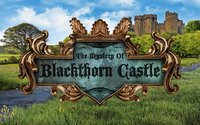 Mystery of Blackthorn Castle screenshot, image №970368 - RAWG