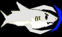 Shark Dash, Super Speed screenshot, image №1775279 - RAWG