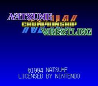 Natsume Championship Wrestling screenshot, image №762247 - RAWG