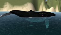 Ocean Odyssey screenshot, image №1895650 - RAWG