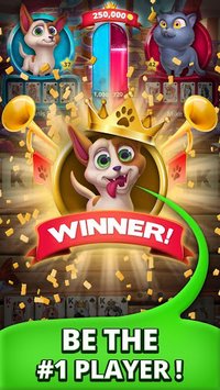 Solitaire Pets - Online Arena - Free Card Game screenshot, image №1476199 - RAWG