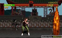 Mortal Kombat (1993) screenshot, image №318928 - RAWG