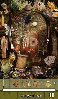 Hidden Object - Fairy Forest screenshot, image №1517972 - RAWG