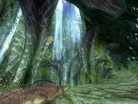 EverQuest II: The Shadow Odyssey screenshot, image №498907 - RAWG