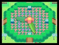 Pokémon Platinum screenshot, image №251187 - RAWG