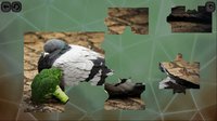 Puzzles for smart: Birds screenshot, image №1674557 - RAWG