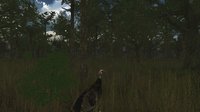 Wild Turkey Hunter VR screenshot, image №809258 - RAWG