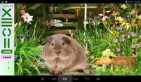 Find Fifteen Fairies - Android screenshot, image №1851436 - RAWG