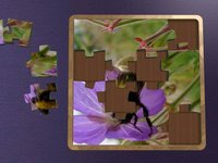 Super Jigsaws Bugs & Creatures screenshot, image №1330717 - RAWG