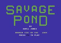 Savage Pond screenshot, image №757107 - RAWG